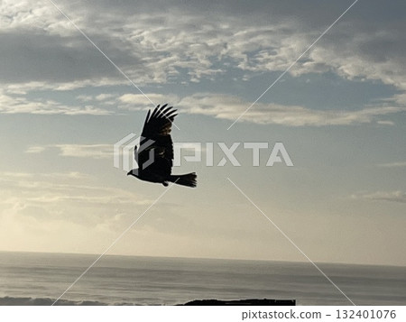 Updraft Updraft 132401076