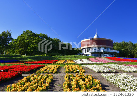 Abashiri Tentozan Hanatento flower bed Abashiri Tentozan Hanatento flower bed 132401320