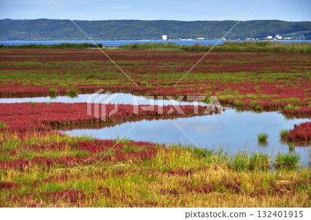Abashiri City Coral Grass 132401915