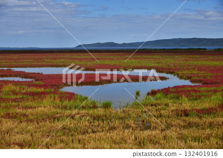 Abashiri City Coral Grass 132401916