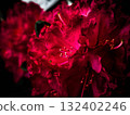 紅杜鵑花～暗黑版～ 132402246