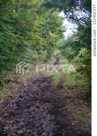 Sanbe Mountain scenery 132402337