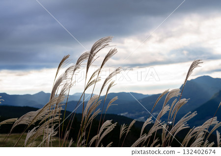 透過雲層的光線照亮了曾尼村,芒草隨風搖曳,曾尼高原 透過雲層的光線照亮了曾尼村,芒草隨風搖曳,曾尼高原 132402674