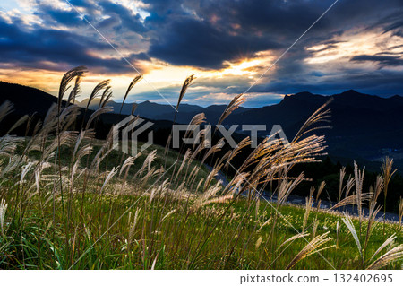 The silver grass on the plateau shines golden in the light of the setting sun peeking through the clouds at Soni Plateau 132402695