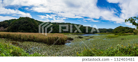 靜岡縣磐田市鶴池全景照片 靜岡縣磐田市鶴池全景照片 132403481