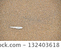 Fish washed up on a sandy beach 132403618