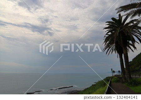 堀切嶺,海岸,大海,多雲的天空,棕櫚樹 堀切嶺,海岸,大海,多雲的天空,棕櫚樹 132404141