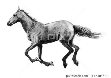 Analog monochrome painting galloping horse 132404550