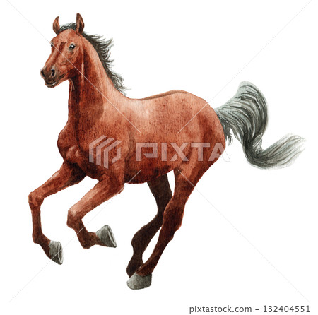 Analog watercolor painting galloping horse 132404551