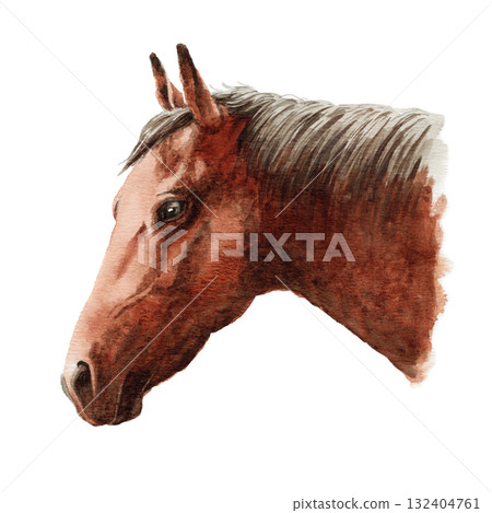 Analog watercolor horse profile Analog watercolor horse profile 132404761