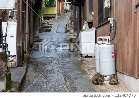 日本廣島縣福山市鞆之浦美麗的古老建築和街景 132404770