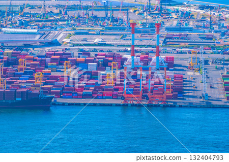 Osaka Yumeshima and gantry cranes 132404793