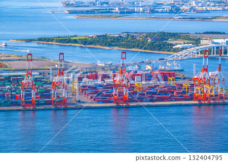 Osaka Yumeshima and gantry cranes 132404795