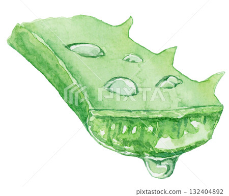 滴水的蘆薈葉的橫切面-水彩插圖 132404892