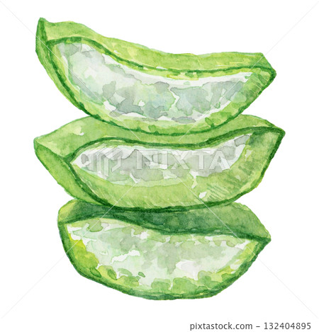 Sliced aloe leaves watercolor illustration Sliced aloe leaves watercolor illustration 132404895