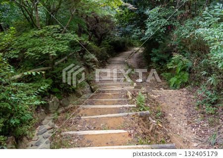 A gently ascending mountain path 132405179
