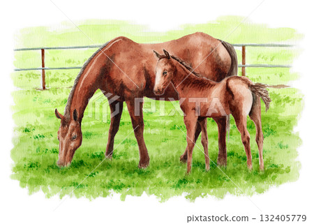 牧場上的一匹馬和它的孩子模擬水彩畫 牧場上的一匹馬和它的孩子模擬水彩畫 132405779