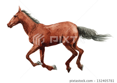 Analog watercolor painting galloping horse 132405781