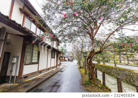 城崎溫泉街街景 132405834