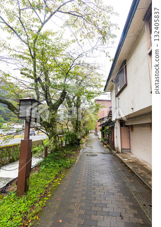 城崎溫泉街街景 132405837