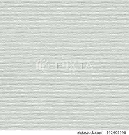 White paper texture with small delicate dots. Seamless square background, tile ready. White paper texture with small delicate dots. Seamless square background, tile ready. 132405996