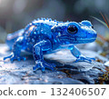 藍色透明蜥蜴 132406507