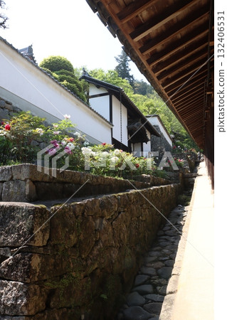 寺廟和牡丹櫻花 寺廟和牡丹櫻花 132406531