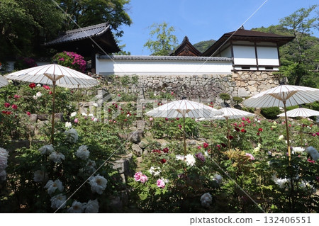 寺廟和牡丹櫻花 寺廟和牡丹櫻花 132406551