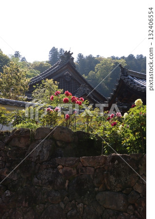 Landscape with temples and flowers 132406554