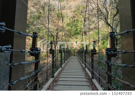 高尾山吊橋01 132407293