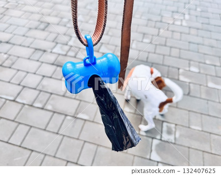 Pet Excrement Bags on a Leash Pet Excrement Bags on a Leash 132407625
