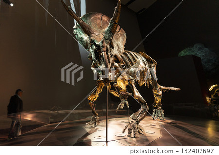 Melbourne, Australia - July 1, 2024 : The Triceratops skeleton exhibition in Melbourne Museum in Melbourne, Australia - July 1, 2024. 132407697
