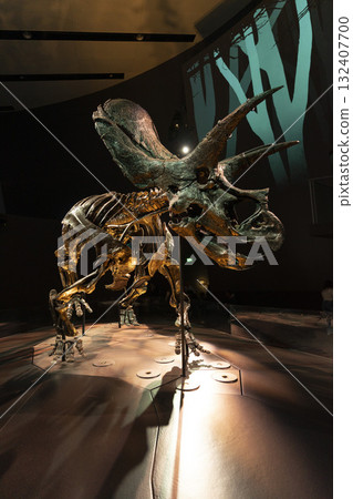 Melbourne, Australia - July 1, 2024 : The Triceratops skeleton exhibition in Melbourne Museum in Melbourne, Australia - July 1, 2024. Melbourne, Australia - July 1, 2024 : The Triceratops skeleton exhibition in Melbourne Museum in Melbourne, Australia - July 1, 2024. 132407700
