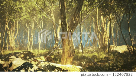 Morning light breaks through a tranquil forest, casting soft shadows on the moss covered stones. The air is fresh, and vibrant greenery surrounds ancient trees, creating a serene atmosphere. Morning light breaks through a tranquil forest, casting soft shadows on the moss covered stones. The air is fresh, and vibrant greenery surrounds ancient trees, creating a serene atmosphere. 132407822