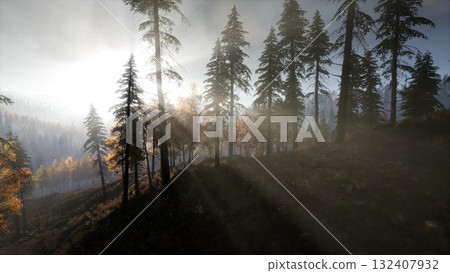 Sunlight breaks through the dense canopy of towering pine trees, illuminating the misty forest at dawn. The atmosphere is serene, with hints of autumn foliage adding color to the landscape. Sunlight breaks through the dense canopy of towering pine trees, illuminating the misty forest at dawn. The atmosphere is serene, with hints of autumn foliage adding color to the landscape. 132407932