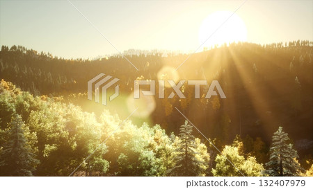 Golden sunlight breaks over mountains, casting warm rays through lush treetops. Nature awakens as day begins, illuminating the forest with a peaceful glow and soft colors. 132407979