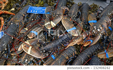 Lobsters at the shop counter Lobsters at the shop counter 132408282