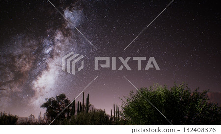 Beneath the vast expanse of the desert night, countless stars twinkle bright. The Milky Way stretches elegantly across the sky, surrounded by silhouettes of cacti and foliage. 132408376