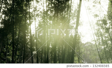 Golden light weaves through towering bamboo stalks, illuminating the lush greenery. Nature awakens in this serene landscape, inviting tranquil reflection and deep exploration. 132408385