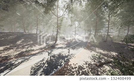 A quiet road meanders through a serene forest, shrouded in morning mist. Sunlight filters through the trees, casting playful shadows on the ground, creating a peaceful atmosphere. 132408499