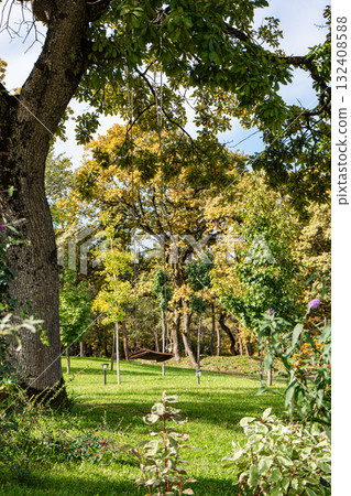 Autumnal garden with seasonal plants and flowers 132408588