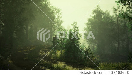 A serene path winds through a dense forest, shrouded in mist. Sunlight filters through the trees, creating a peaceful and inviting atmosphere for exploration. 132408628