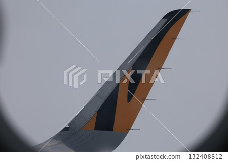 wingtip 132408812