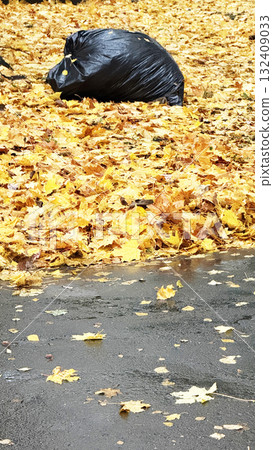 Autumn leaves surround black garbage bag on wet pavement, capturing seasonal cleanup theme 132409033
