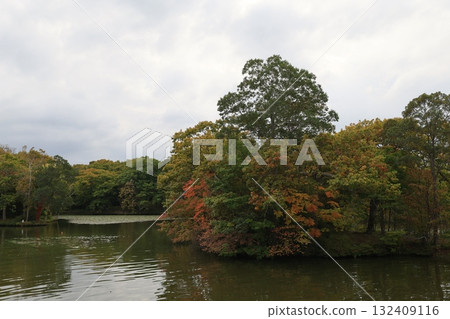 大沼國定公園 132409116