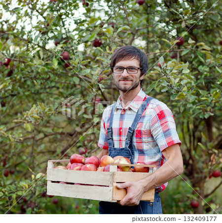 Smiling male farmer in checkered shirt holding wooden crate full of red apples Smiling male farmer in checkered shirt holding wooden crate full of red apples 132409177