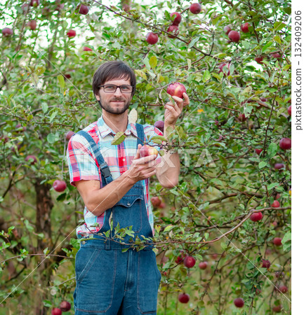 Smiling male farmer in a plaid shirt holds wooden crate full 132409206