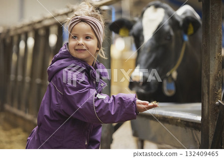 Charming child on a cows farm in Denmark 132409465