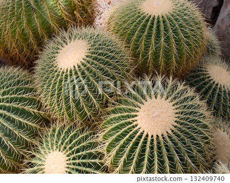 金烏“金沙池” 132409740