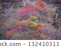 一座變成紅色葉子的山 132410311